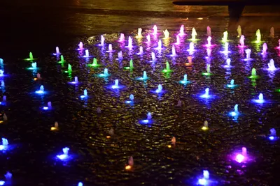 DSC_0723 (Large).JPG